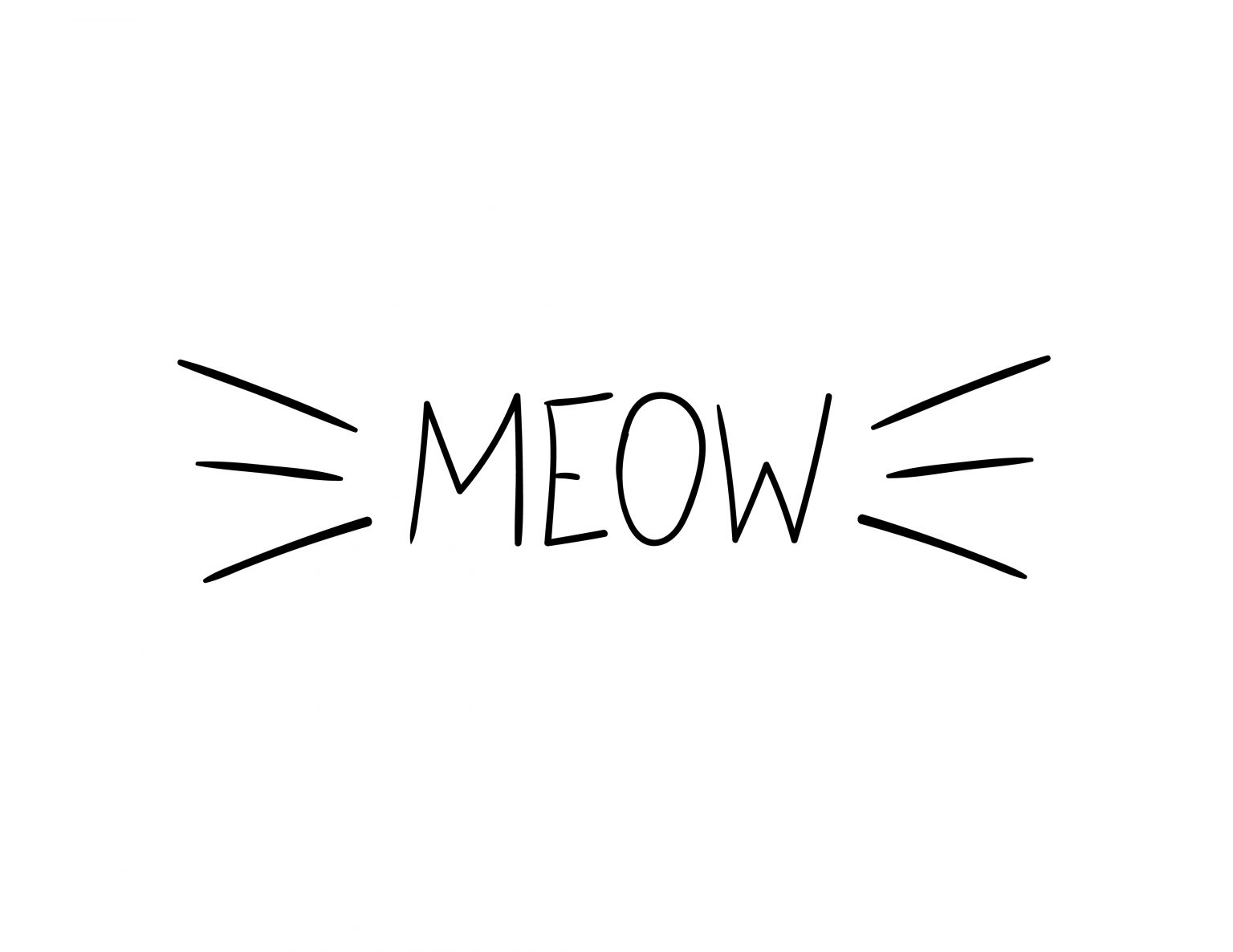 Meow_cn_meow